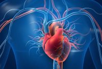 7 Ways to Maintain Heart Health